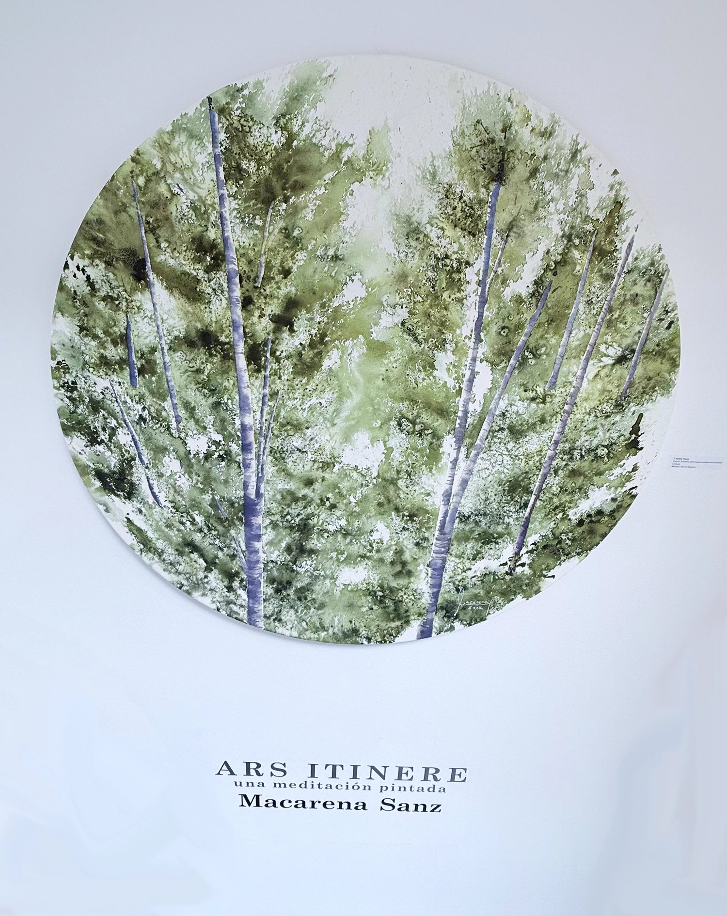 Obra de Macarena Sanz en Espacio 36