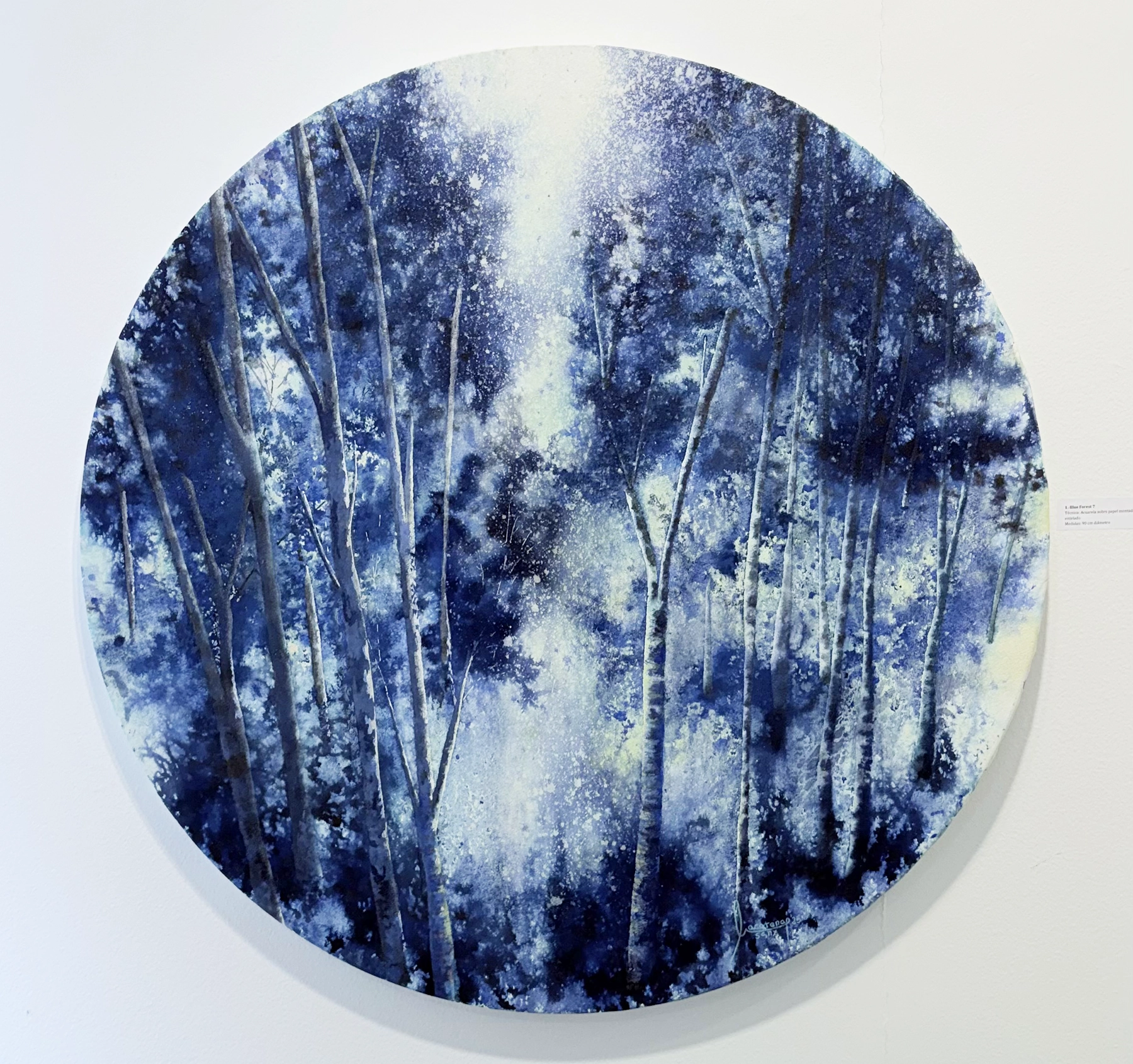 Obra de Macarena Sanz en Espacio 36