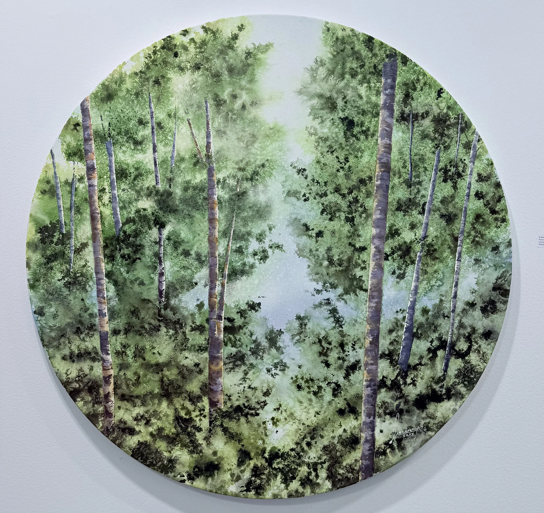 Obra de Macarena Sanz en Espacio 36