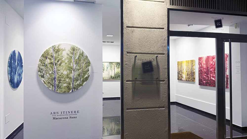 Fachada Espacio 36 - Macarena Sanz